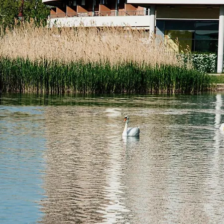 Tatil Evi Csendes Vendeghaz Balatonfoeldvaron Balatonföldvár